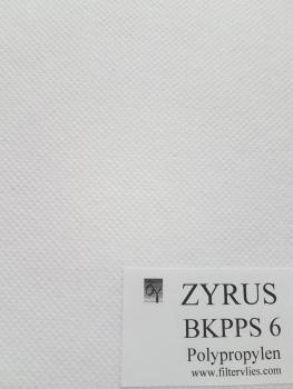 Preview: BKPPS6 700mm x 100m